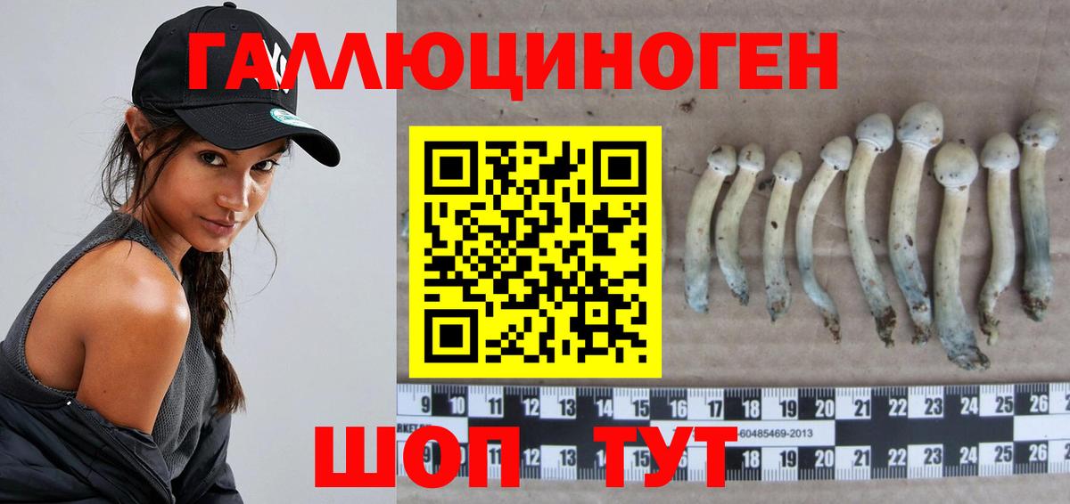 Галлюциногенные грибы GOLDEN TEACHER  Вход с VPN  Черкесск 