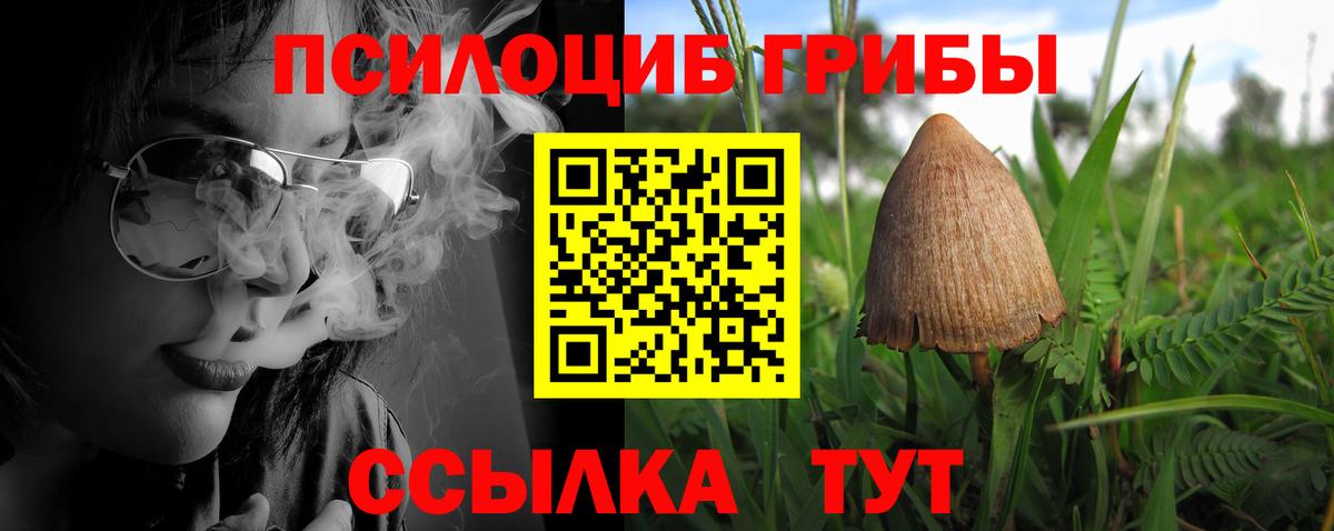 Псилоцибиновые грибы мухоморы Черкесск